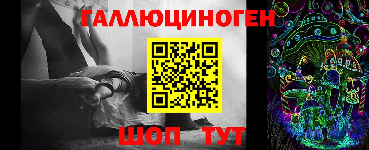 Псилоцибиновые грибы Psilocybe  Вход с VPN  Краснокаменск 